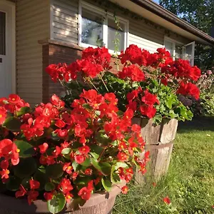 Graham Homestay , Ottawa Canada